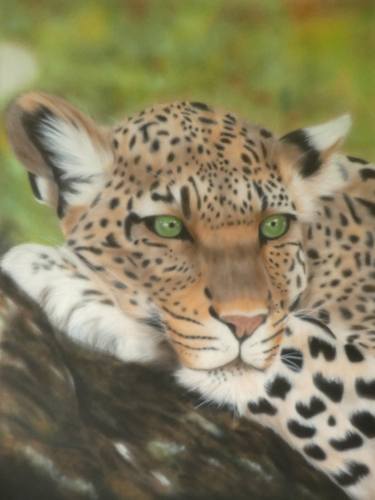 Print of Portraiture Animal Paintings by Sharen-Lee McLachlan