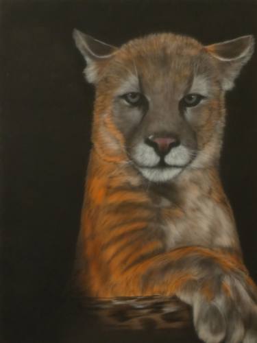 Print of Portraiture Animal Paintings by Sharen-Lee McLachlan