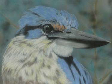 Print of Realism Animal Paintings by Sharen-Lee McLachlan