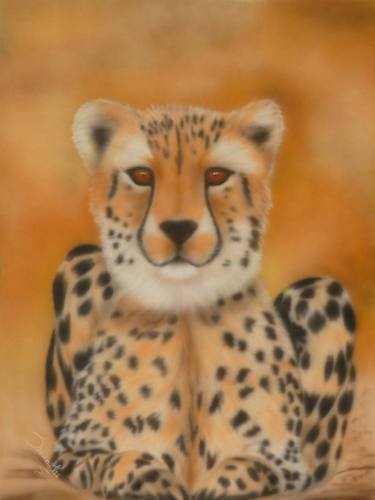 Print of Animal Paintings by Sharen-Lee McLachlan