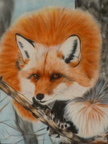 Print of Animal Paintings by Sharen-Lee McLachlan