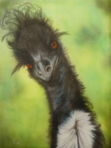 Original Animal Paintings by Sharen-Lee McLachlan