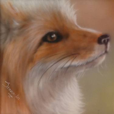 Original Realism Animal Paintings by Sharen-Lee McLachlan