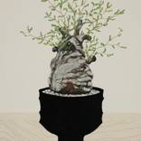 Collection Art for the Office