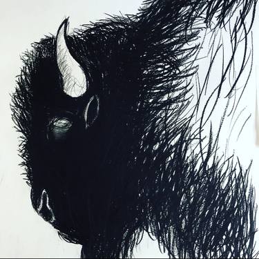 Original Fine Art Animal Drawings by Shabs Beigh