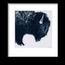 Framed 