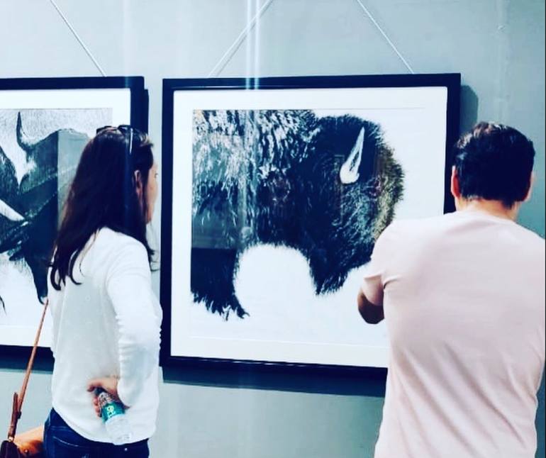 Original Minimalism Animal Drawing by Shabs Beigh