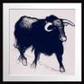 Black Bull - Mounted and framed charcoal drawing by Shabs Beigh