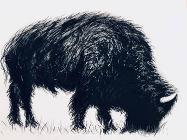 Original Fine Art Animal Drawings by Shabs Beigh