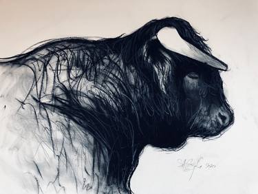 Original Modern Animal Drawings by Shabs Beigh