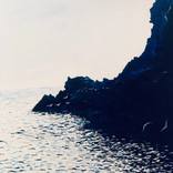 Collection New this Week 2-14-2022