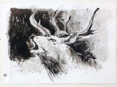 Original Animal Drawing by Juan Antonio Cordoba