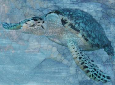 Sea Turtle-Beneath The Waves Series thumb