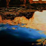 The golden hour by Carlos Ferg