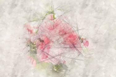 Print of Abstract Floral Photography by Suzanne Forrest