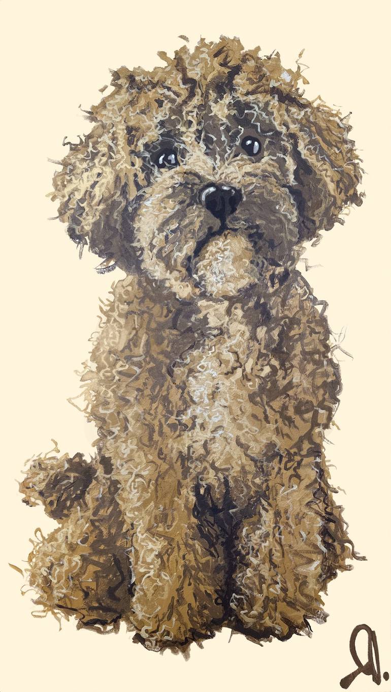 Maltipoo Dog Drawing by Valentyna Zasutska Saatchi Art