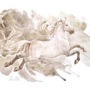 Collection Equine art