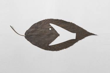 Original Fish Sculpture by Ibrahim Elshenawy