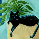 Collection Cat Art & IIlustrations