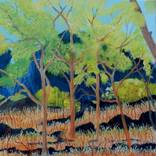 Kakadu Country by Doodie Herman