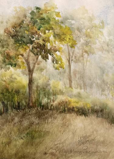 Original Landscape Paintings by Mary Pachikara