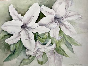 Original Floral Paintings by Mary Pachikara