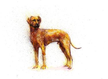 Original Dogs Paintings by Natalja Picugina