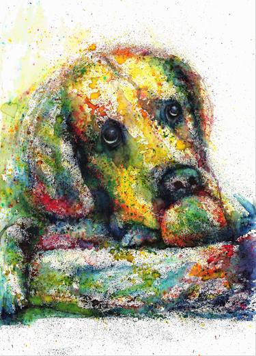 Print of Dogs Paintings by Natalja Picugina