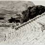 view additional image 1