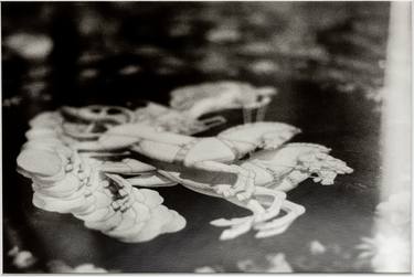Original Figurative Classical mythology Photography by Federico Caponi