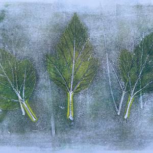 Collection Falling Leaves Collection