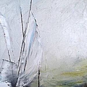 Collection Raw Gestures of Nature