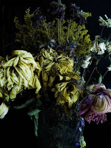 Original Fine Art Mortality Photography by Tamzin J Batteson