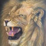 Roar by Anna Korinna