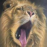 Roar by Anna Korinna