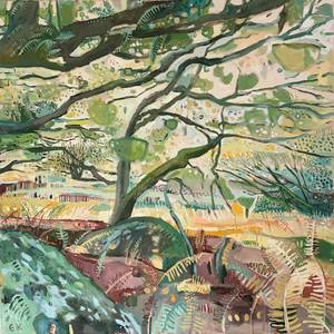 Hazel Trees and Mossy Boulders, Stampford Spiney