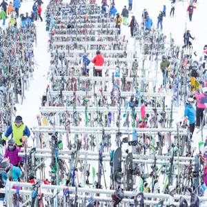 Collection Winter Whimsy