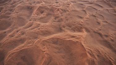 Desert Rose - Namib Desert, Namibia thumb