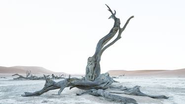 Solace - Sossusvlei Namib Desert, Namibia thumb