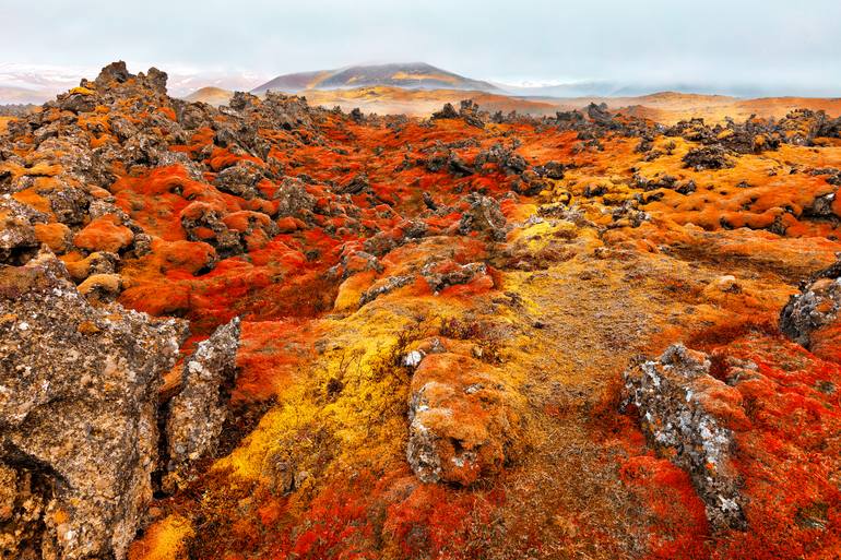 View in a Room Artwork