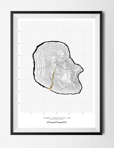 Timber Topography 006 - Limited Edition 2 of 50 thumb