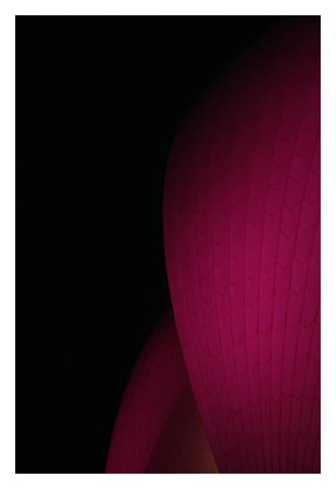 Sydney Opera House Pink - Limited Edition Print thumb