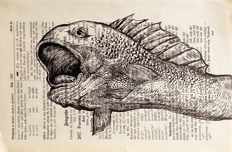 Records of a Zoological Classification - Micropterus salmoides Drawing ...