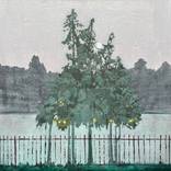City Trees by Steph Smith