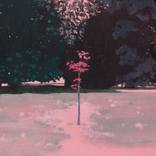 Late Spring II by Steph Smith