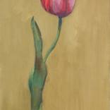 Collection Flowers