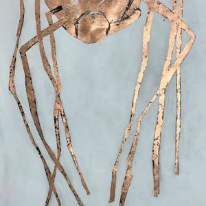 Collection Spiders