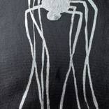 Collection Spiders