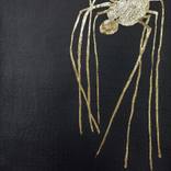 Collection Spiders