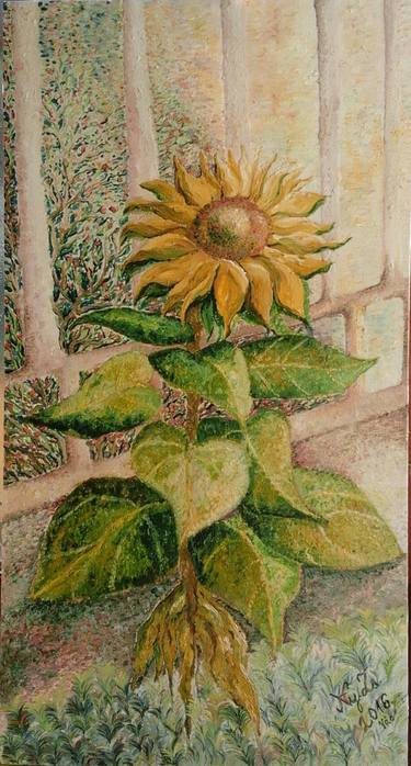 Giant Sunflower thumb